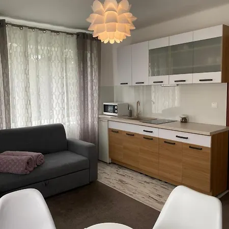 Apartament U Gogoca II Tylicz Exterior photo